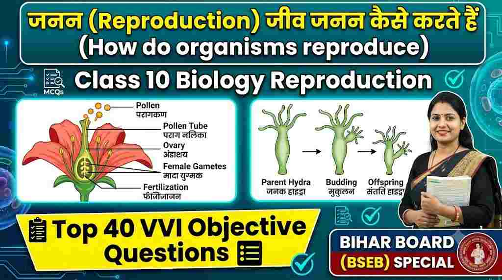 Bihar Board Class 10 Biology Chapter 6 Reproduction VVI Objective Questions
